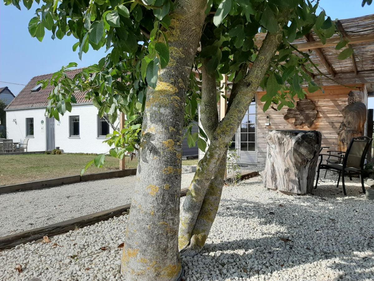 La Petite Juliette Leuze-en-Hainaut Exterior foto
